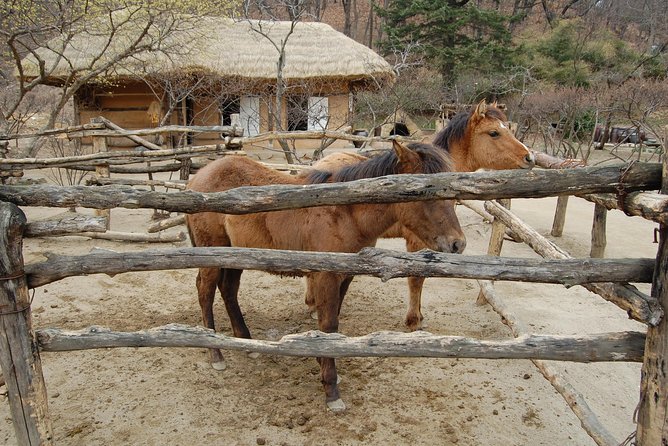 Korean Folk Village Afternoon Tour from Seoul - Guide Style: The Difference Between Informative and Rushed