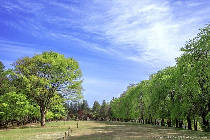Mount Seorak and Nami Island One Day Tour from Seoul - Cable car, tickets, and weather: the stuff that can change your day