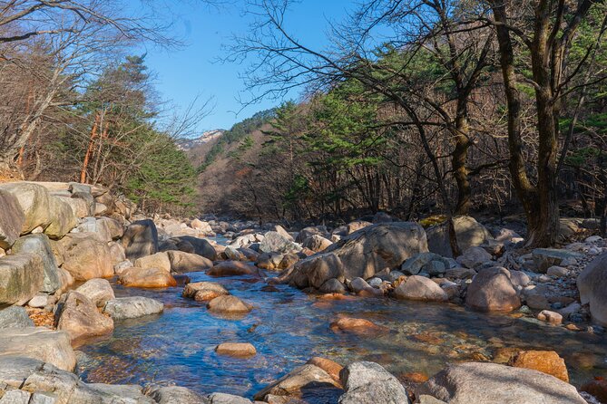 Mount Seorak and Nami Island One Day Tour from Seoul - Meals and pacing: how to stay comfortable for the full 12–13 hours