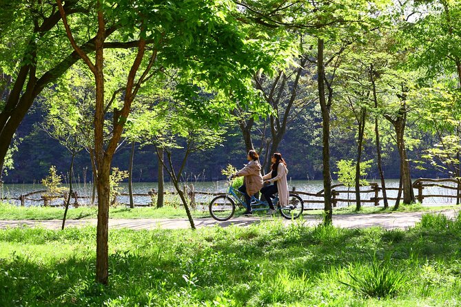 Mount Seorak and Nami Island One Day Tour from Seoul - Value check: what your $80.95 is really buying