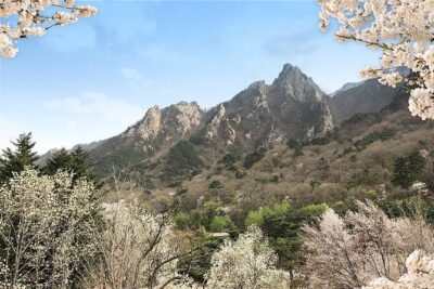 Mt. Seorak+Nami Island+Garden of Morning Calm Day Trip from Seoul - Seoraksan National Park + Shinheungsa Temple: where the day turns into real hiking