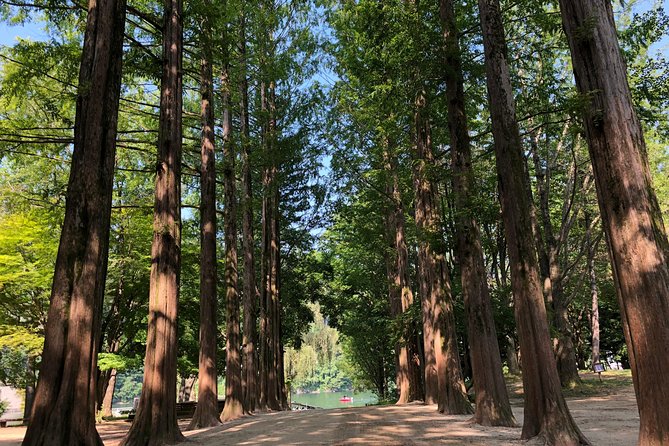 Mt. Seorak+Nami Island+Garden of Morning Calm Day Trip from Seoul - How long is this day, really—and what to pack