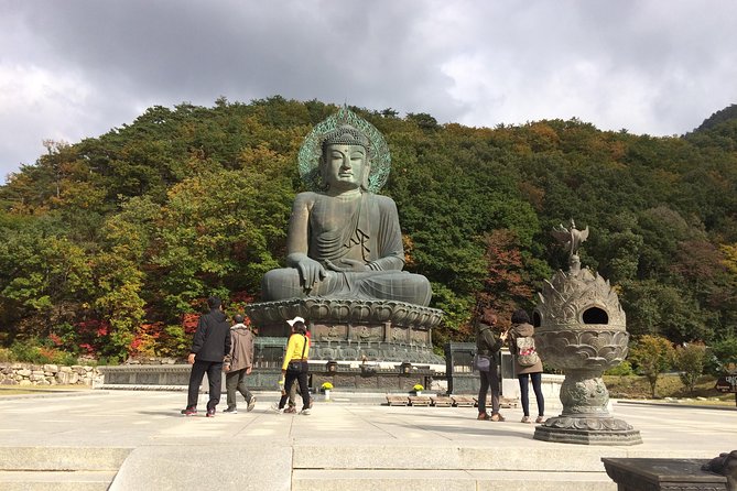 Mt. Seorak+Nami Island+Garden of Morning Calm Day Trip from Seoul - The guide factor: why names like Patrick and Ki show up again and again