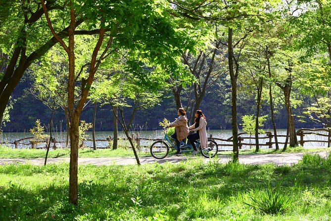 Nami Island and Petite France & Italian Village Day Trip from Seoul - Timing, Traffic, and Weather: How to Keep the Day Smooth