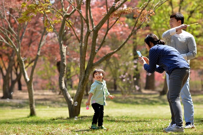 Nami Island and Petite France & Italian Village Day Trip from Seoul - Price and Value: What $55.24 Really Buys You