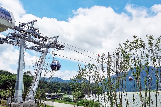 Nami Island, Cable Car, Garden of Morning Calm Panoramic Tour - Should You Book the Nami Island and Garden of Morning Calm Panoramic Tour?