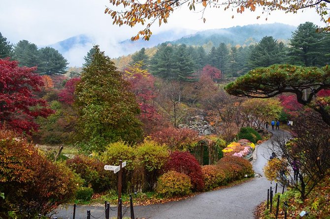Nami Island from Seoul: Petit France and Garden of Morning Calm - A 9-hour rhythm that fits Nami, Petit France, and Morning Calm