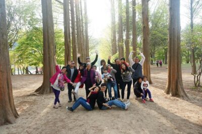 Nami Island from Seoul: Petit France and Garden of Morning Calm - Stop 1: Nami Island time (about 2.5 hours) and what to plan for