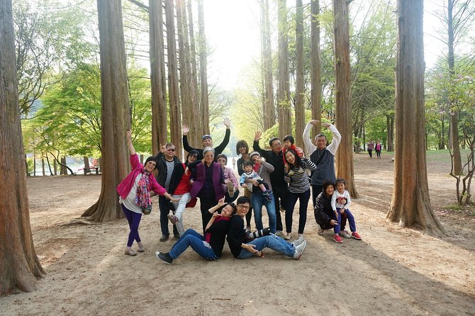 Nami Island from Seoul: Petit France and Garden of Morning Calm - Stop 1: Nami Island time (about 2.5 hours) and what to plan for