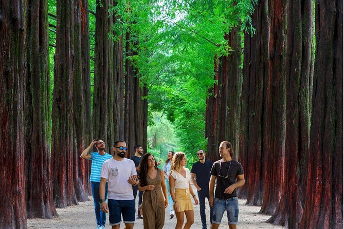 Nami Island & Garden of Morning Calm & Gangchon Railbike Tour - Meeting at Hongik Univ. Station and how the day typically flows