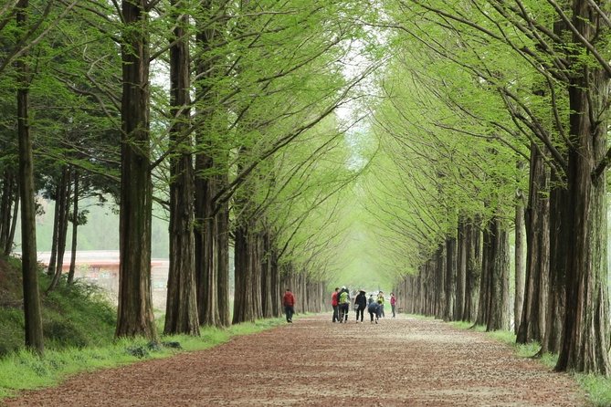 Nami Island& Petite France& Garden of Morning Calm& Italian Village One-Day Tour - Italian Village: A Bonus European-Style Pause