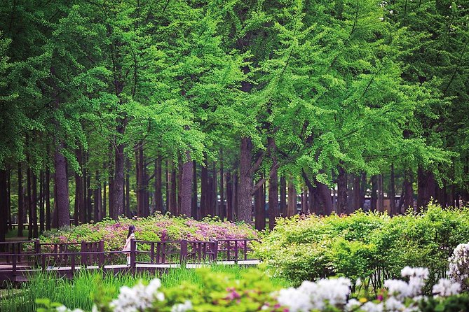 Nami Island& Petite France& Garden of Morning Calm& Italian Village One-Day Tour - Price and Value: Does $76 Really Add Up?