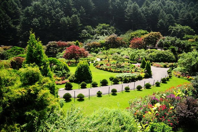 Nami Island& Petite France& Garden of Morning Calm& Italian Village One-Day Tour - Logistics That Can Make or Break Your Day