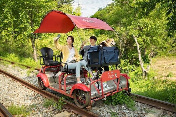 Nami Island & Petite France & Italian Village & Gangchon Rail Bike One-Day Tour - Price and Value: When $91.60 Makes Sense