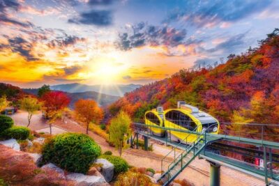 Pocheon Art Valley, Garden & Fruit Picking Day Tour from Seoul - Price and value: what your $72.38 really covers