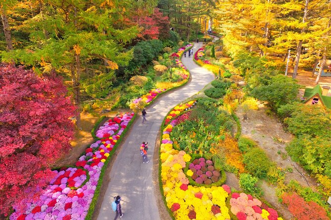 Pocheon Art Valley, Garden & Fruit Picking Day Tour from Seoul - Stop 3: Strawberry picking or apple experience, depending on the dates
