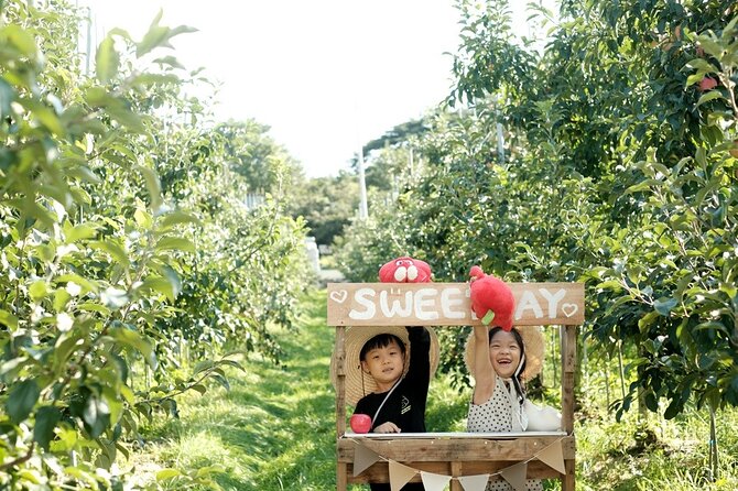 Pocheon Art Valley, Garden & Fruit Picking Day Tour from Seoul - Stop 4 in winter: Chorigol-gil snow sledding time (when available)