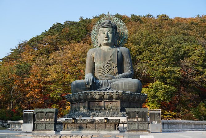 [Premium Private Tour] Mt Seorak & East Sea or Nami island from Seoul - Private Doesn’t Mean Slow: How Your Guide Controls the Pace