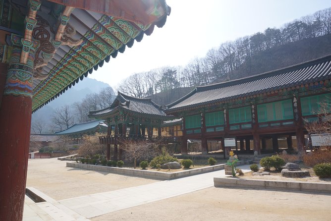 [Premium Private Tour] Mt Seorak & East Sea or Nami island from Seoul - Nami Island vs. the East Sea: Picking the Right Mood