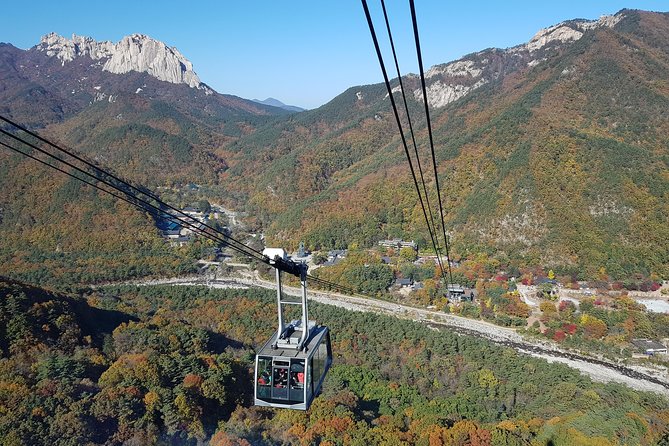 [Premium Private Tour] Mt Seorak & East Sea or Nami island from Seoul - Seoraksan National Park: Cable Car Views or an Easy Valley Walk
