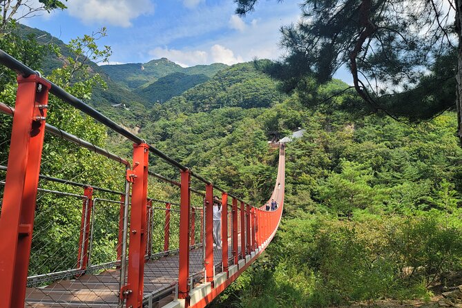 Private DMZ Tour and Suspension Bridge + Korean BBQ - Dora Observatory: Direct Views of the Border Area