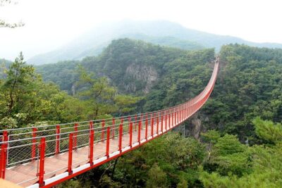 Private DMZ Tour (No Shopping): 3rd Tunnel & Suspension Bridge - Imjingak Park first: Bridge of Freedom, Mangbaedan, and the steam locomotive