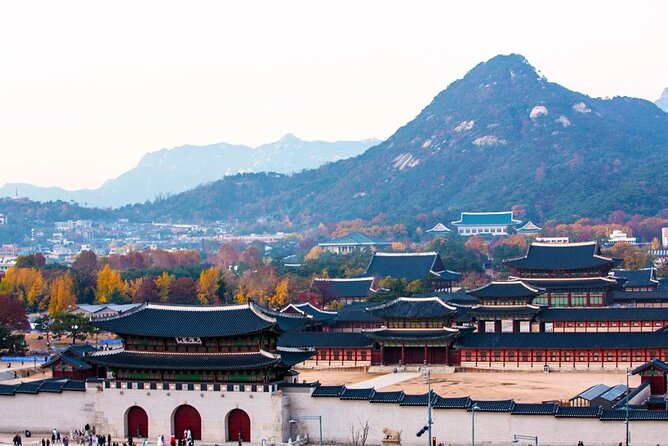 Private Seoul City Tour Palace, village, temple, market - Stop 6–7: Namsan Park by Cable Car and N Seoul Tower Views