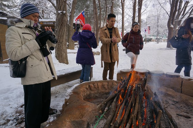Private Tour Nami Island with Petite France 'and/or' The Garden of Morning Calm - Your private guide: why the day feels smoother than DIY