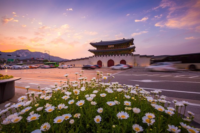 Royal Palace, Full-day Seoul City Tour (Pick up & Drop off) - Getting Started: Pickup, Timing, and What to Expect from the Pace
