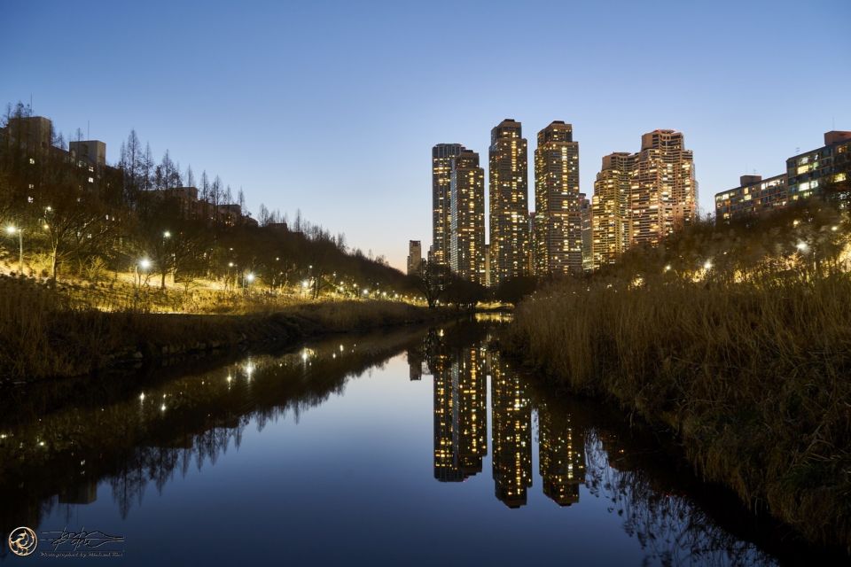 Seoul: 4-Hour Gangnam Walking Tour With Customized Itinerary - Why Gangnam clicks best with a guide (not just a map)