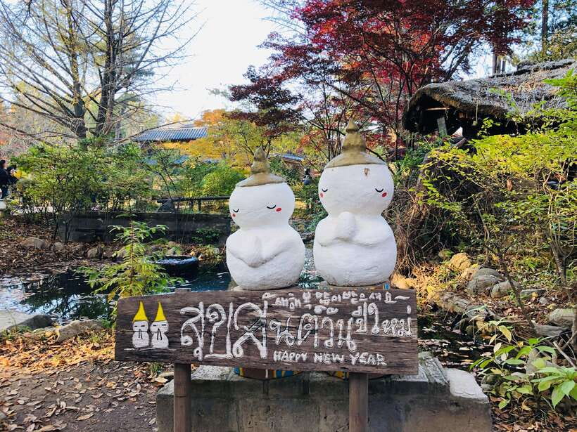 Seoul: Alpaca, Nami, Morning Calm or Eobi (+Rail Bike) - Who This Works Best for (and Who Should Rethink It)
