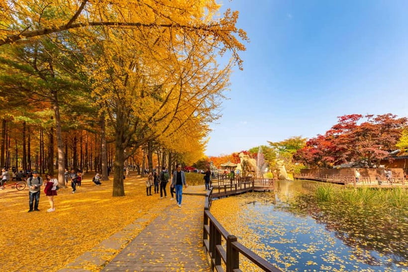 Seoul: Alpaca World & Nami Island optional Gangchon Railbike - Should You Book This Tour From Seoul?