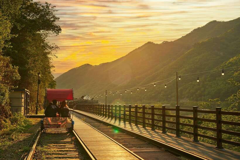 Seoul: Alpaca World & Nami Island optional Gangchon Railbike - FAQ
