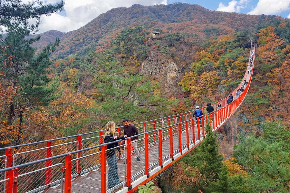Seoul: DMZ Guided Tour with Suspension Bridge and Gondola - Visitor Center stop: where the rules make sense
