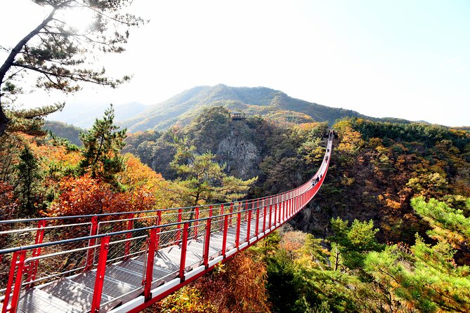 Seoul DMZ Tour with 3rd Tunnel and Red Suspension Bridge - Getting to and from Myeong-dong without stress