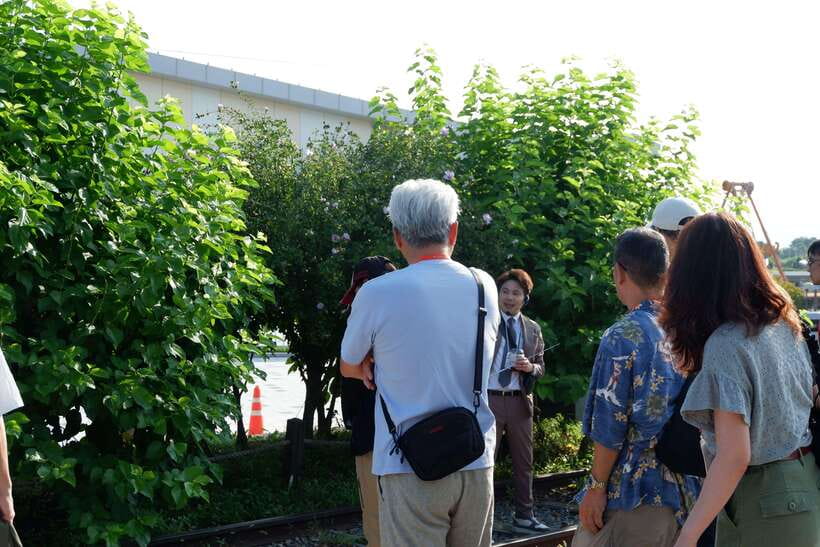 Seoul: DMZ Tour with Japanese-Speaking Guide - When DMZ access changes: plan for swaps, not refunds