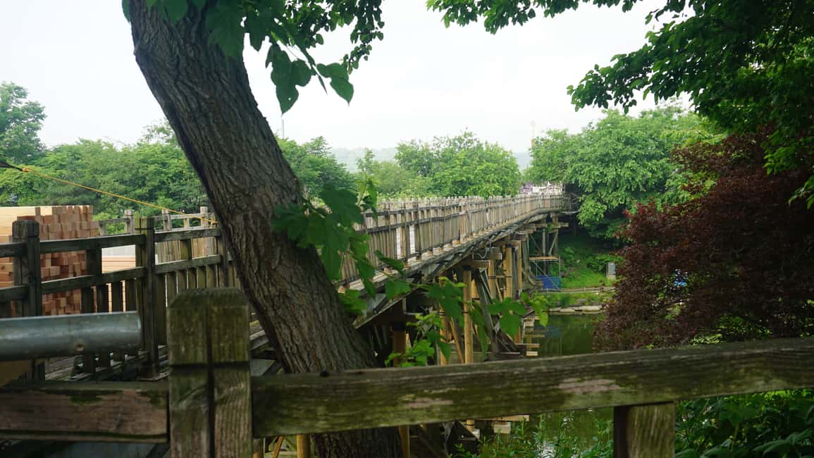 Seoul: DMZ Tour with Optional Suspension Bridge - English guides who make the border story human