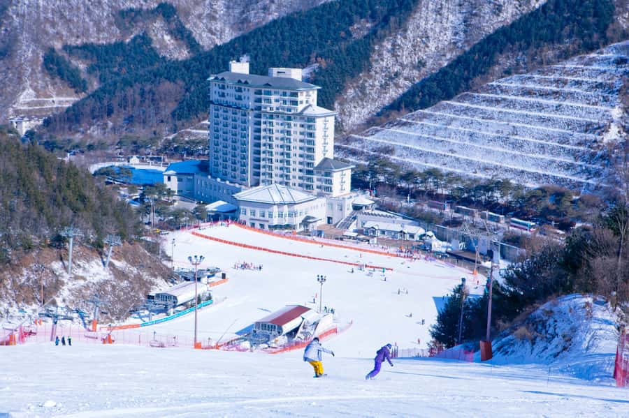 Seoul: Elysian Gangchon Winter Ski Resort Fun Day Tour - The 1-Hour Lesson: Fast Confidence for Beginners