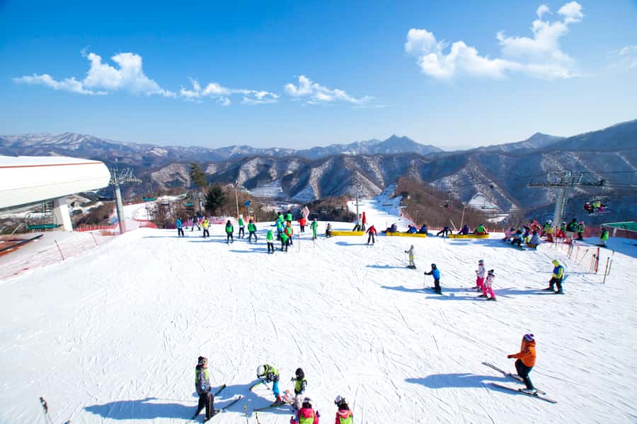 Seoul: Elysian Gangchon Winter Ski Resort Fun Day Tour - Slope Time and Lift Views: What Your Free Hours Feel Like