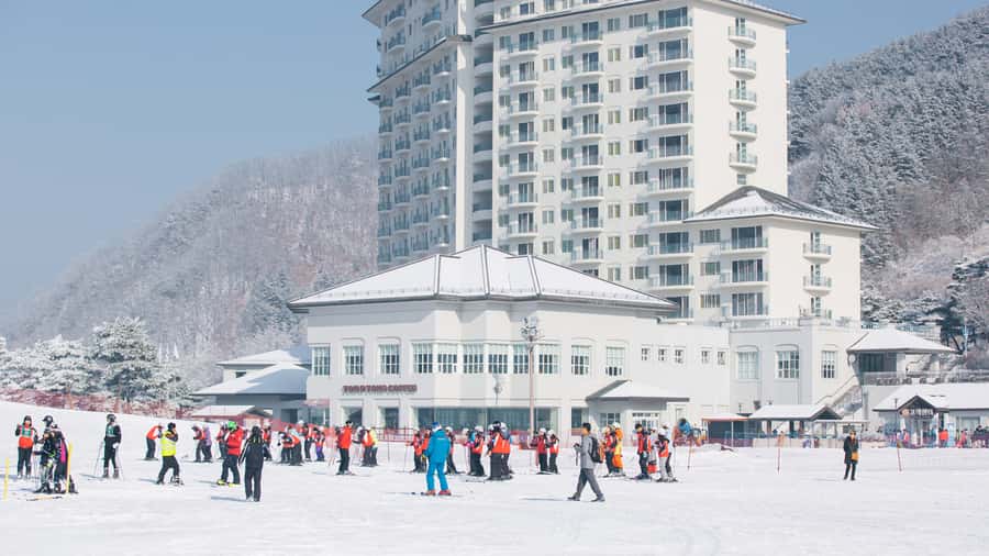 Seoul: Elysian Gangchon Winter Ski Resort Fun Day Tour - Price and Value: Is About $15 Worth It?