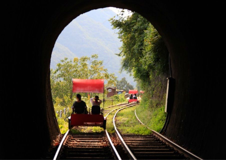 Seoul: Gangwon-do Day Trip with Alpaca World & Nami Island - Who Should Book This Tour (and Who Might Want Another Option)