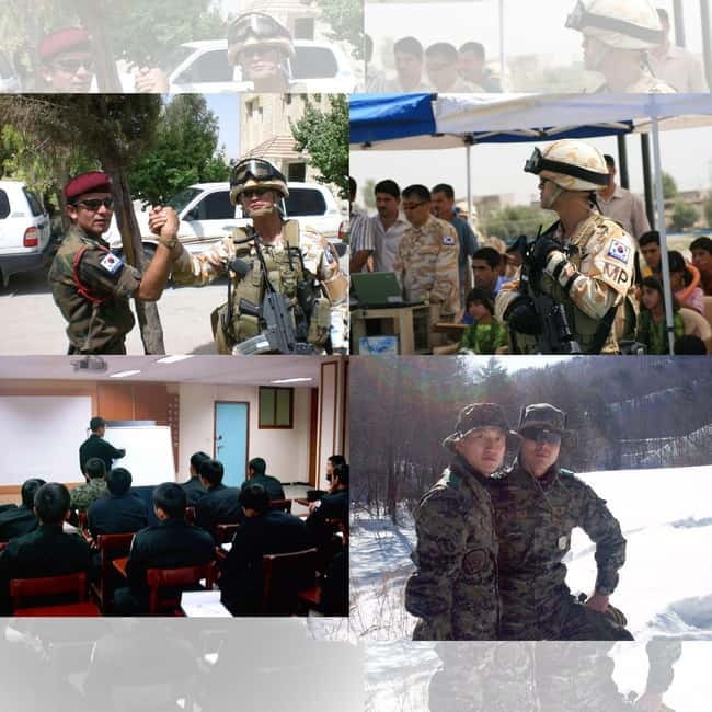 Seoul: Half-Day DMZ Tour Led by a Retired Military Officer - Key takeaways