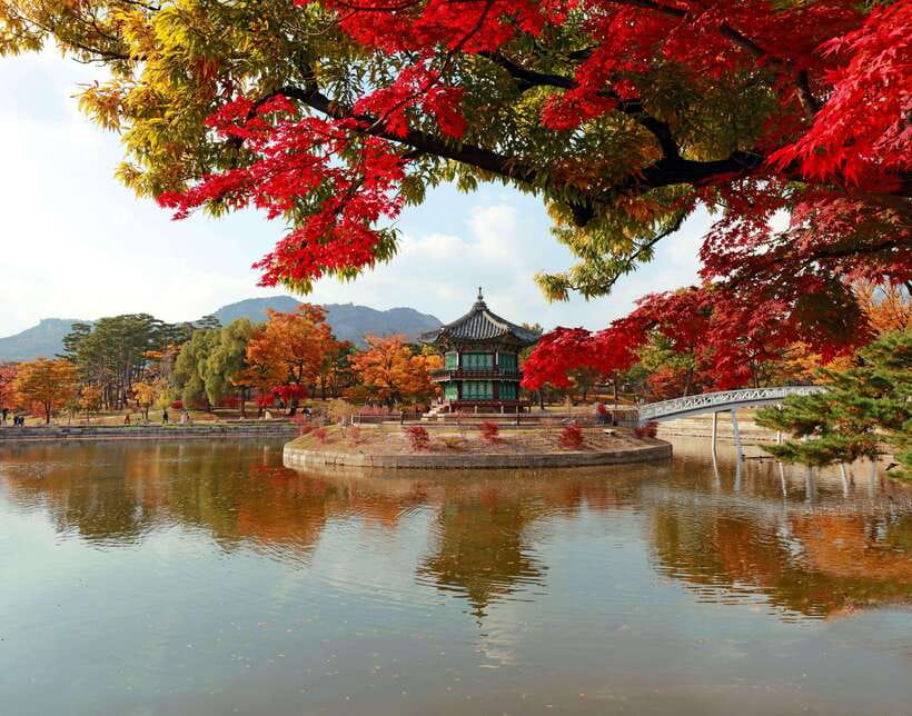 Seoul Highlights: Gyeongbok Palace, Insadong & N Seoul Tower - Entering Gyeongbokgung Palace (and the Tuesday Swap)