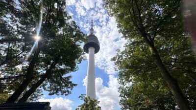 Seoul: Highlights of Seoul Half-Day Tour - Meeting Point in Myeongdong: Where the Day Starts