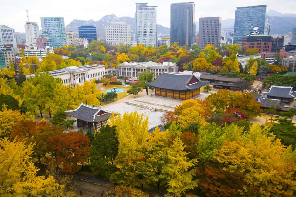 Seoul: Highlights of Seoul Half-Day Tour - Deoksugung Palace and the 11:00 Changing of the Guard