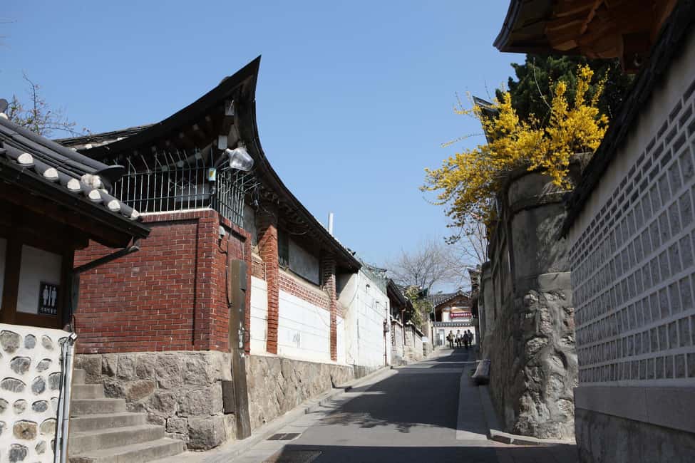 Seoul: Highlights of Seoul Half-Day Tour - Comfort, Pace, and What to Wear