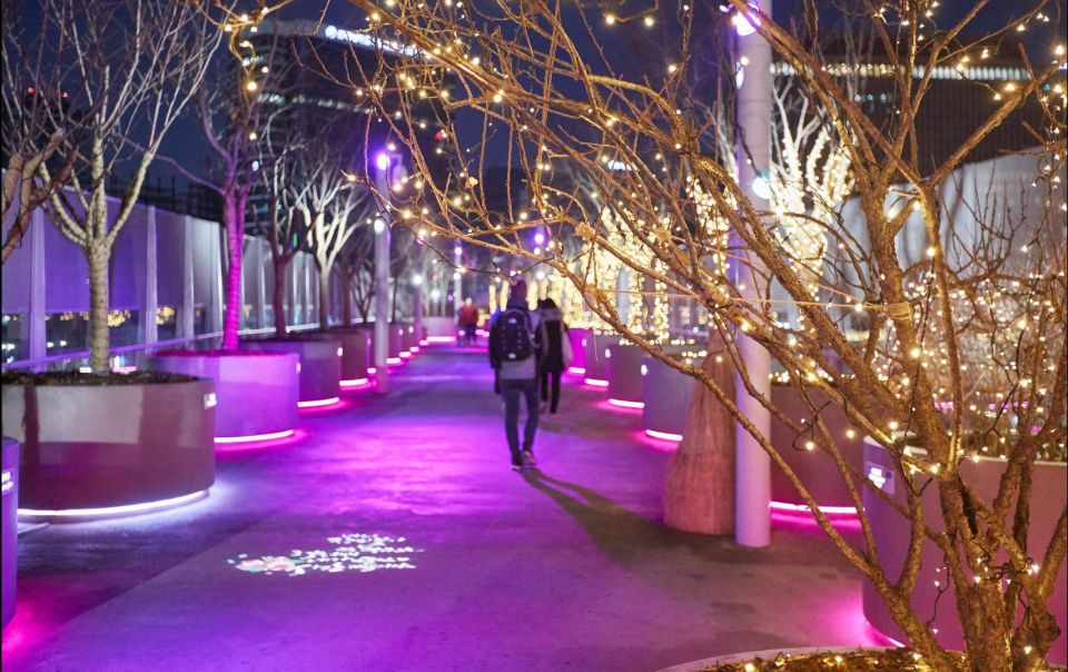 Seoul: Moonlight Rainbow Fountain Show Night Tour - 5 Key Things I’d Prioritize on This Seoul Night Tour