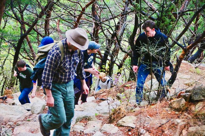 Seoul Mountain Hike: Temples, Folklore & Traditional Meal - Who This Tour Is Best For (and Who Should Rethink)