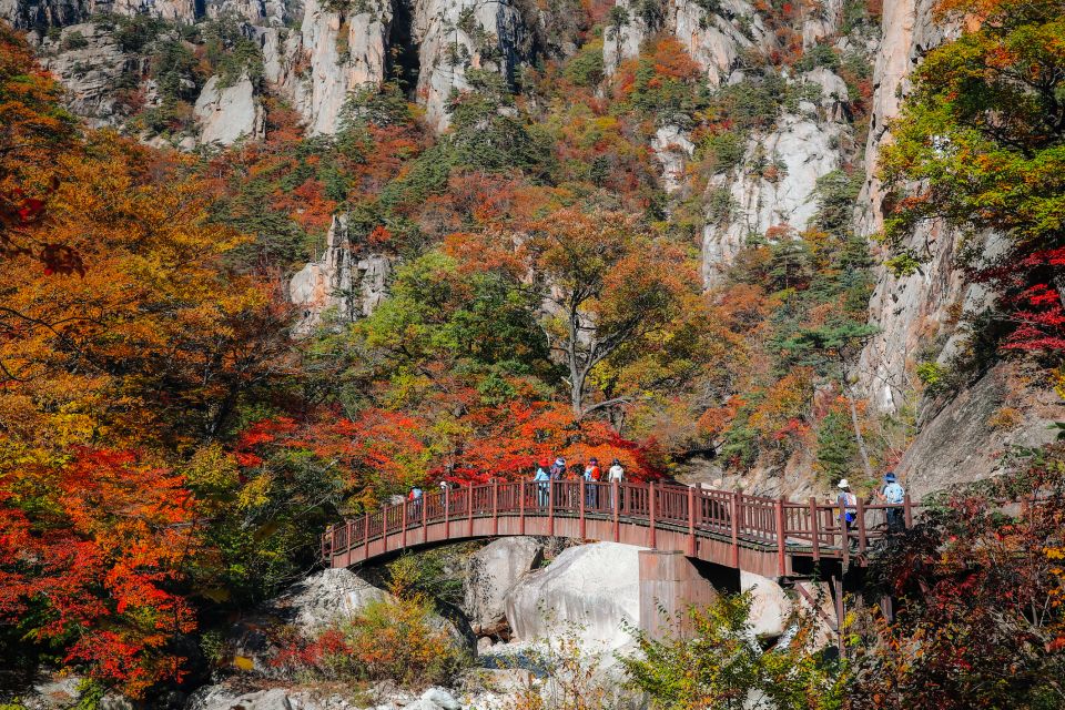 Seoul: Mt Seorak + Naksansa Temple or Nami Island Group Tour - Seoul to Mt Seorak: why this day trip hits the sweet spot