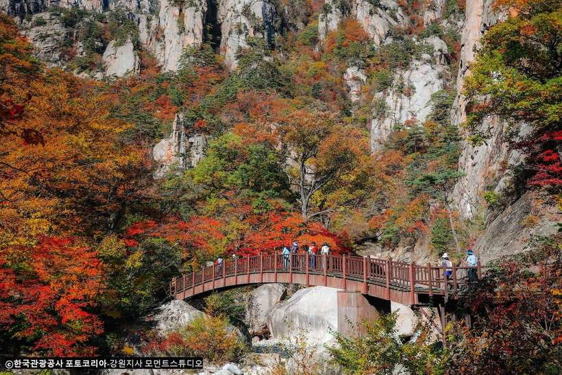 Seoul: Mt.Seorak, Nami Island, No Shopping(+RailBike Option) - Key highlights at a glance